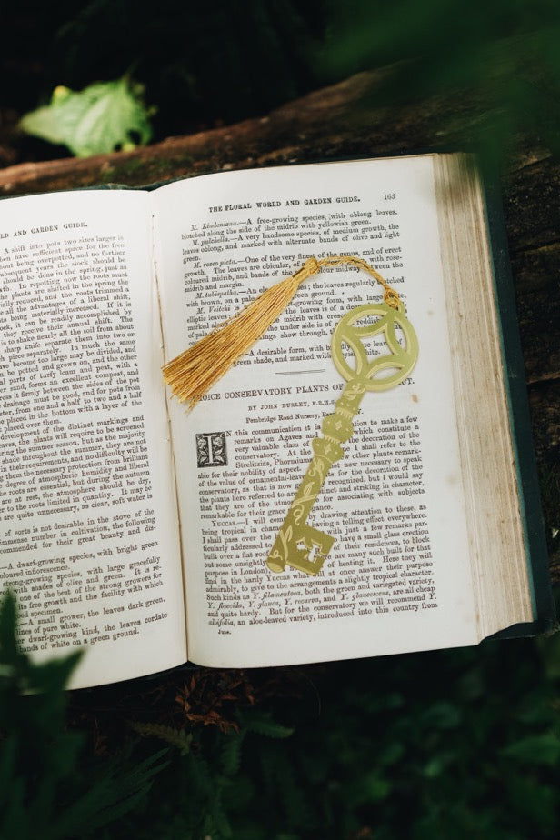 Open book with a decorative key on a wooden surface surrounded by greenery