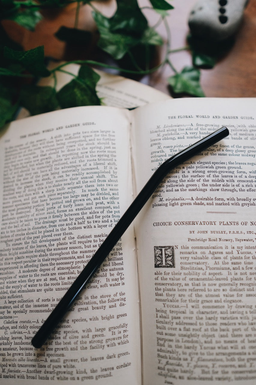 Bent Glass Straw