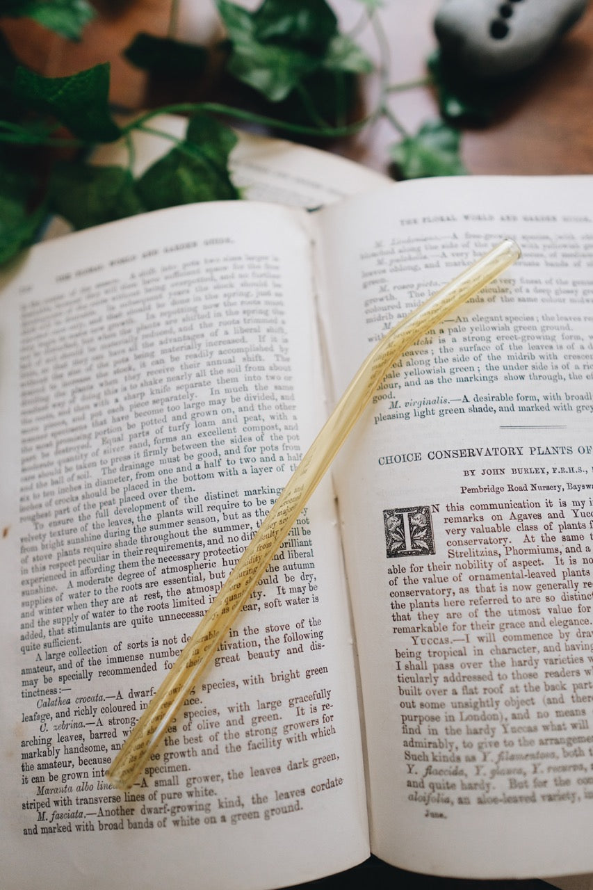 Bent Glass Straw