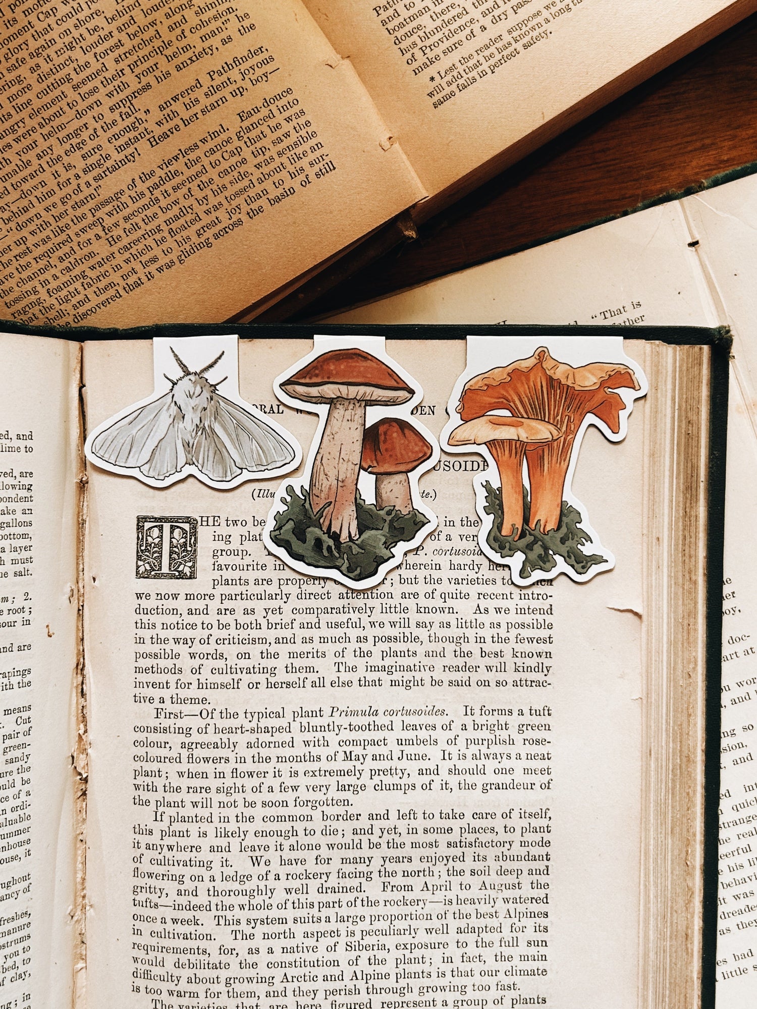 Bookmarks