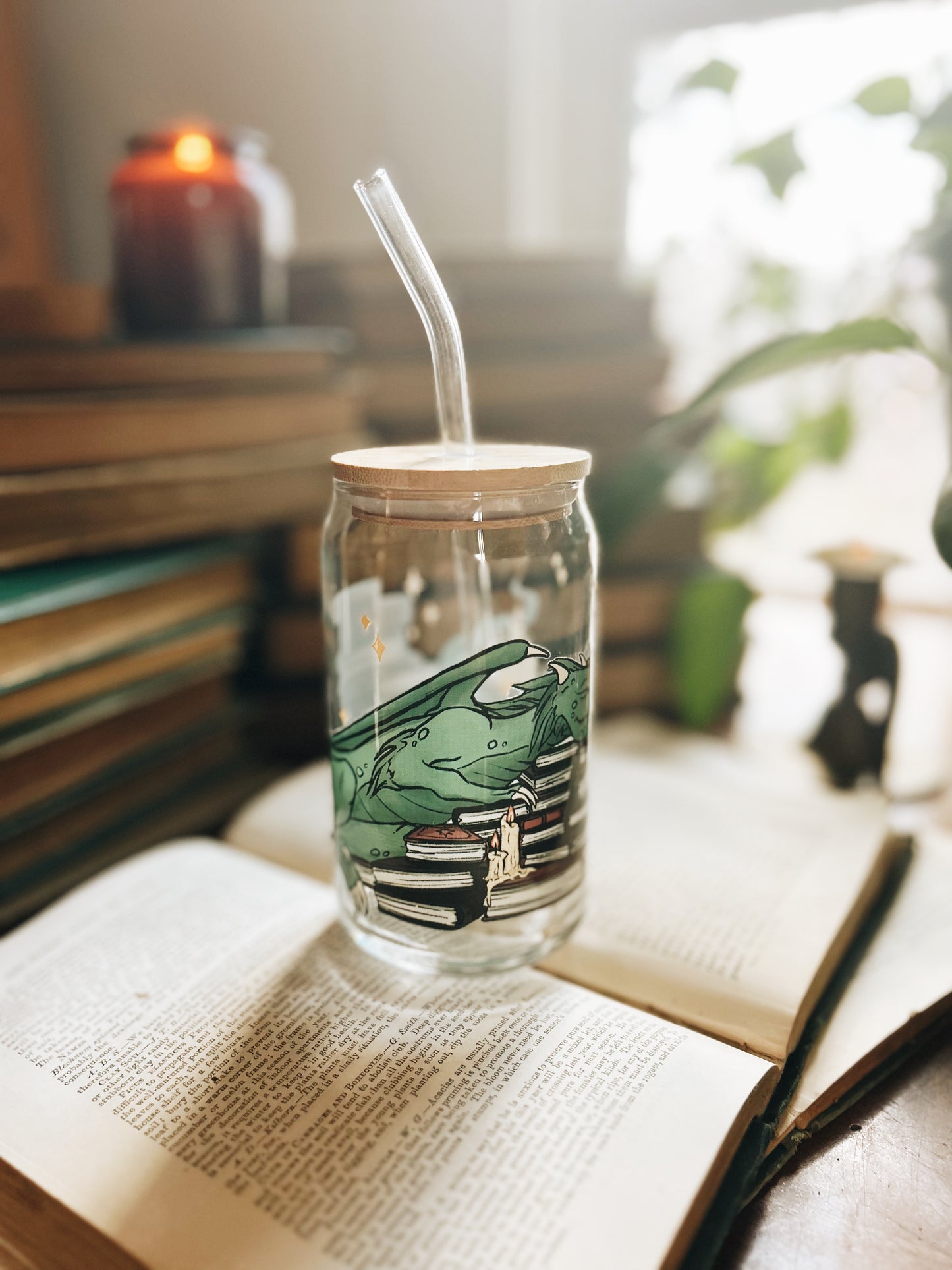 Book Dragon Glass