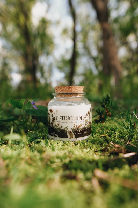 Petrichor | Wickless Soy Candle