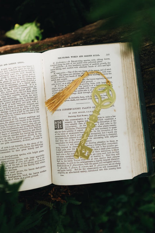 Open book with a decorative key on a wooden surface surrounded by greenery