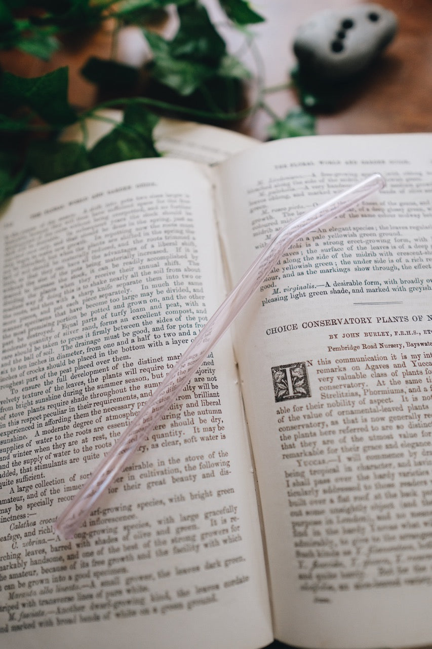Bent Glass Straw